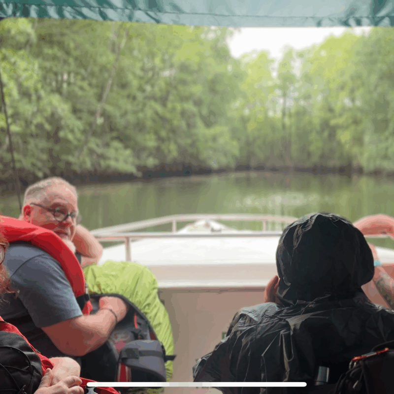 DESDE SIERPE TOUR DE MANGLAR