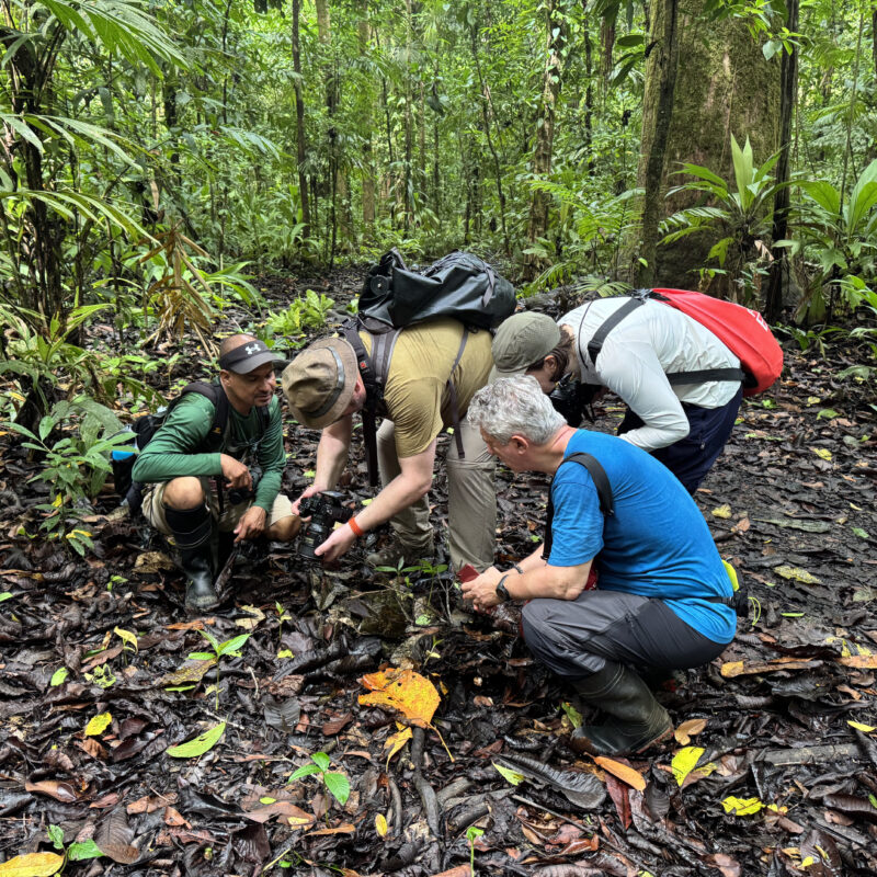 DESDE DRAKE TOUR DE DÍA ESTACIÓN SIRENA