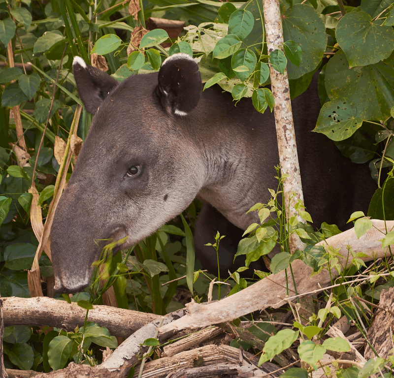 DESDE SIERPE TOUR DE DÍA EN LA ESTACIÓN DE SIRENA