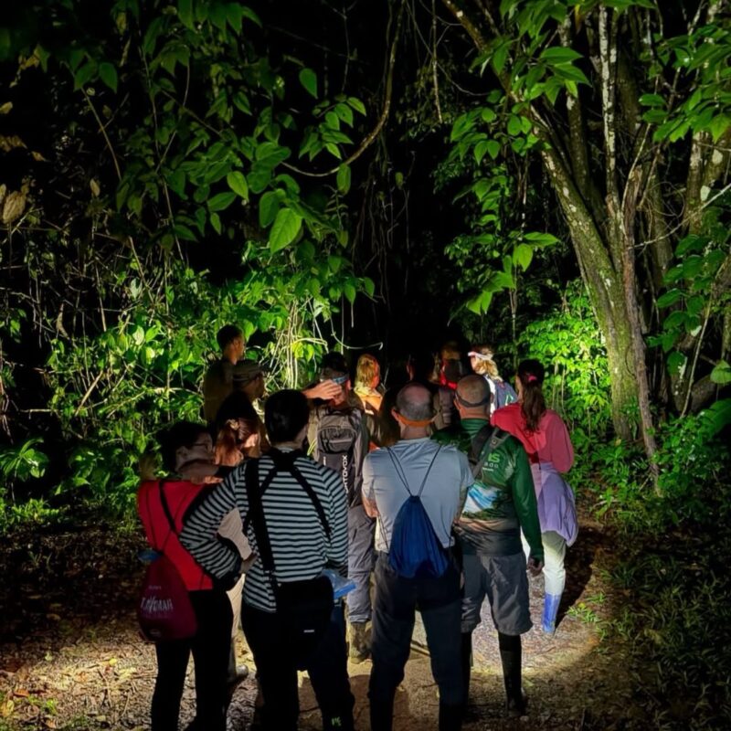 CAMINATA NOCTURNA EN PLAYA CALETAS
