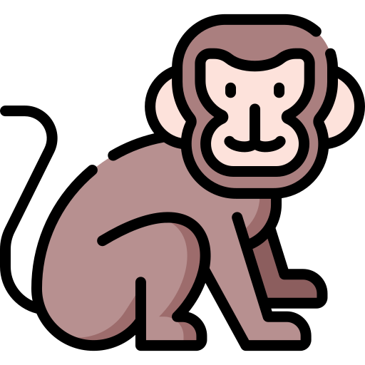 monkey