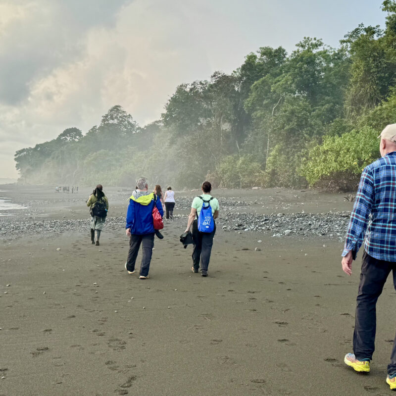 DESDE PUERTO JIMENEZ TOUR DE DÍA ESTACIÓN DE SIRENA