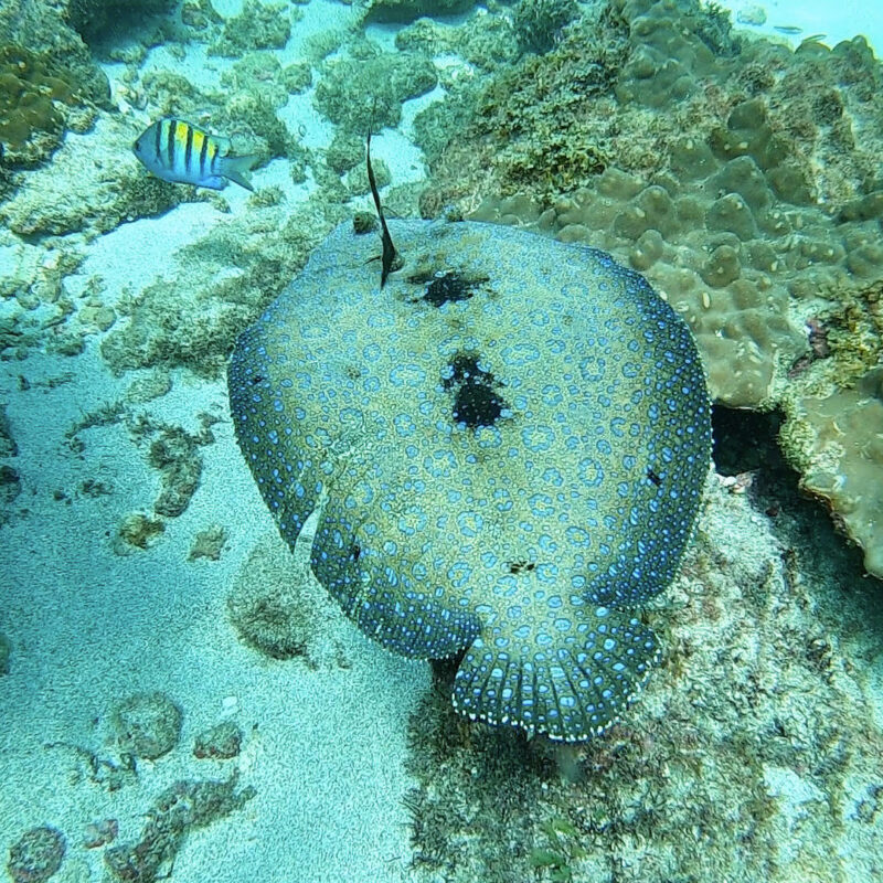 DESDE UVITA TOUR DE LA ISLA DEL CAÑO